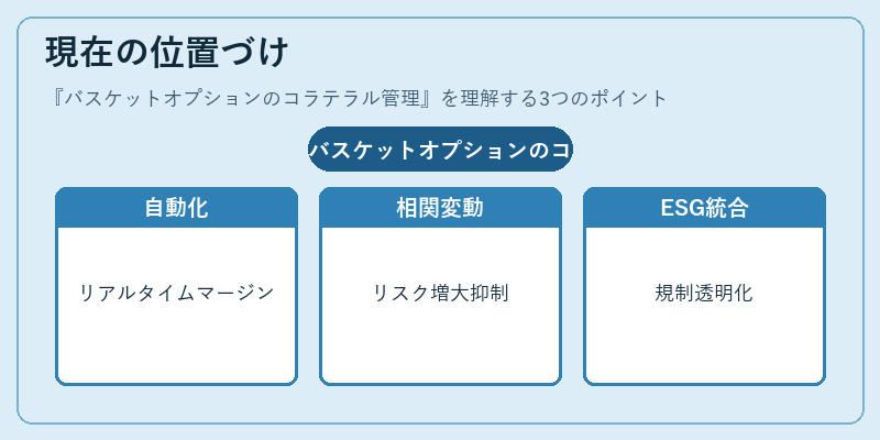 現在の位置づけ（バスケットオプションのコラテラル管理）の図解