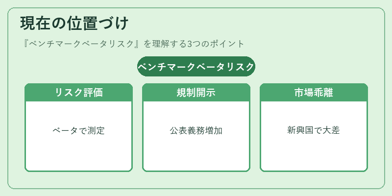 現在の位置づけ(ベンチマークベータリスク)の図解