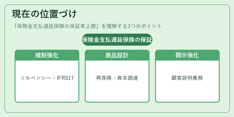 現在の位置づけ（保険金支払遅延保険の保証率上限）の図解