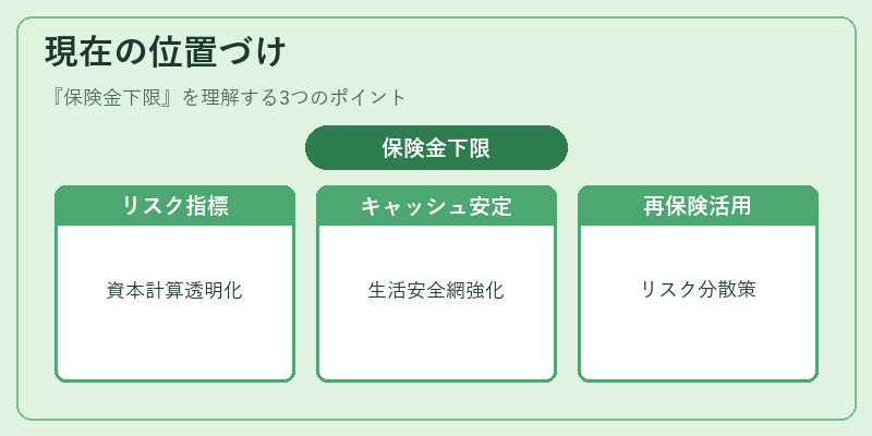 現在の位置づけ（保険金下限）の図解
