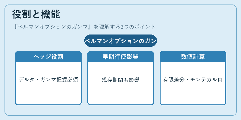 役割と機能（ベルマンオプションのガンマ）の図解