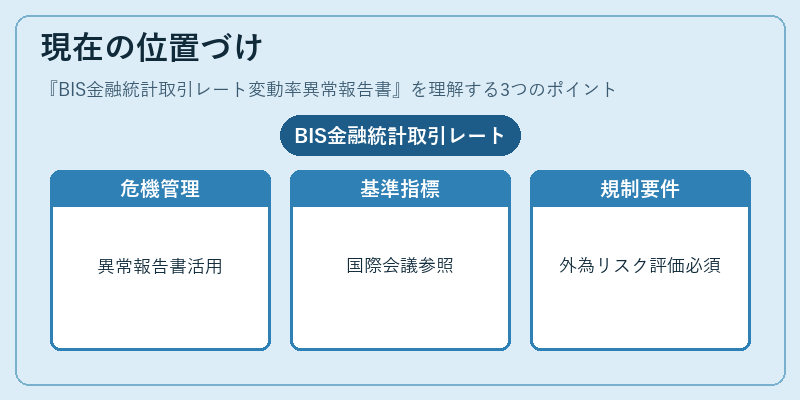 現在の位置づけ（BIS金融統計取引レート変動率異常報告書）の図解