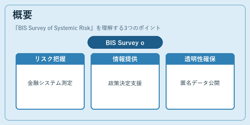 概要（BIS Survey of Systemic Risk）の図解