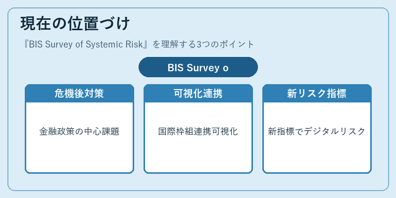 現在の位置づけ（BIS Survey of Systemic Risk）の図解