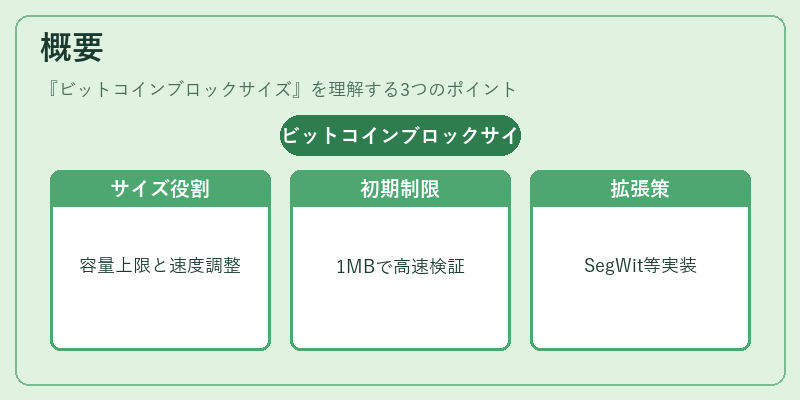 概要（ビットコインブロックサイズ）の図解