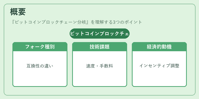 概要(ビットコインブロックチェーン分岐)の図解