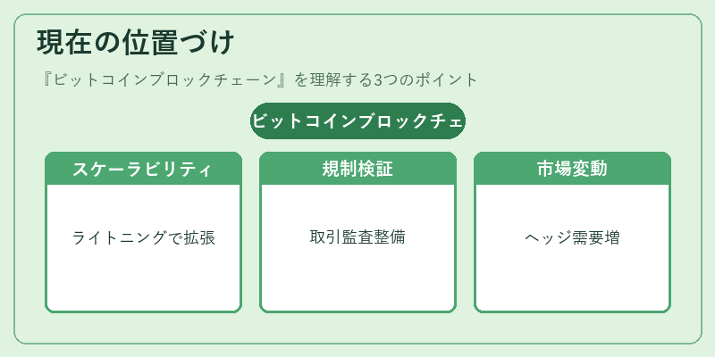 現在の位置づけ（ビットコインブロックチェーン）の図解
