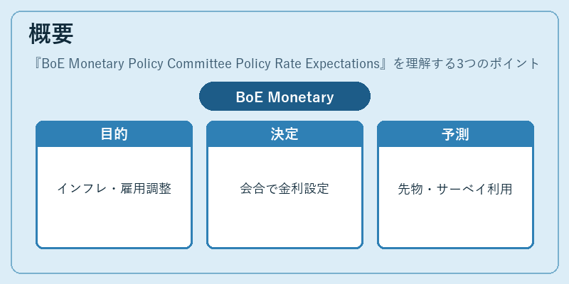 概要（BoE Monetary Policy Committee Policy Rate Expectations）の図解