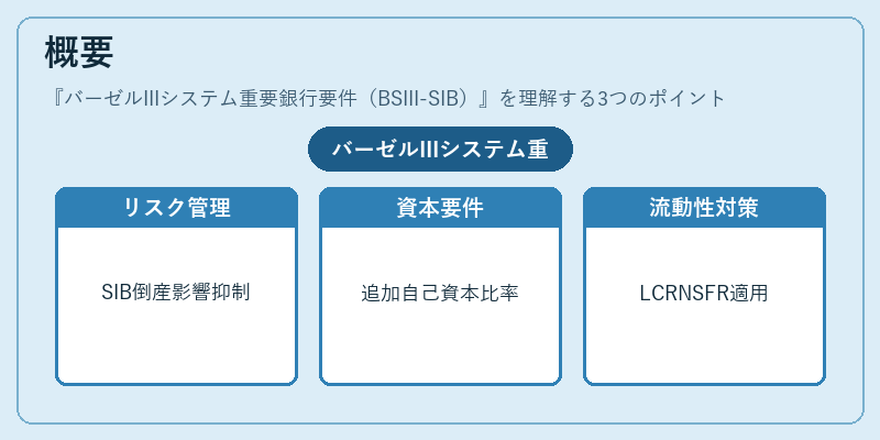 概要(バーゼルIIIシステム重要銀行要件(BSIII-SIB))の図解