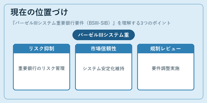 現在の位置づけ(バーゼルIIIシステム重要銀行要件(BSIII-SIB))の図解