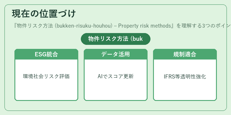 現在の位置づけ（物件リスク方法 (bukken‑risuku‑houhou) – Property risk methods）の図解