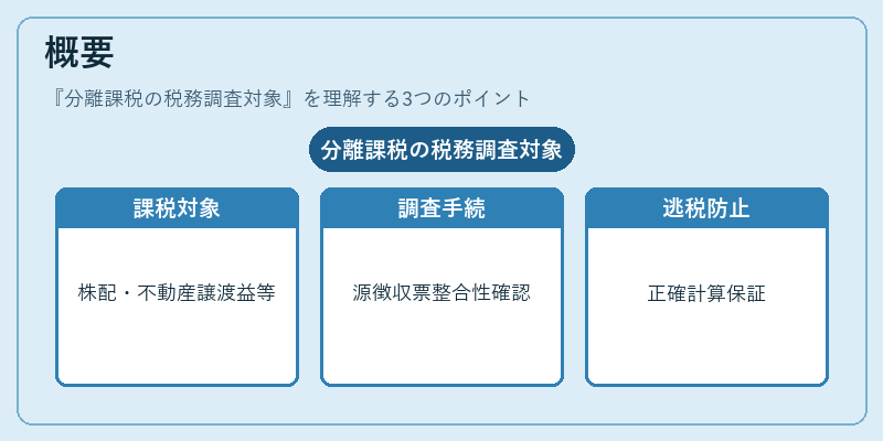 概要（分離課税の税務調査対象）の図解