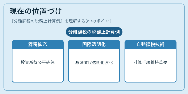 現在の位置づけ（分離課税の税務上計算例）の図解