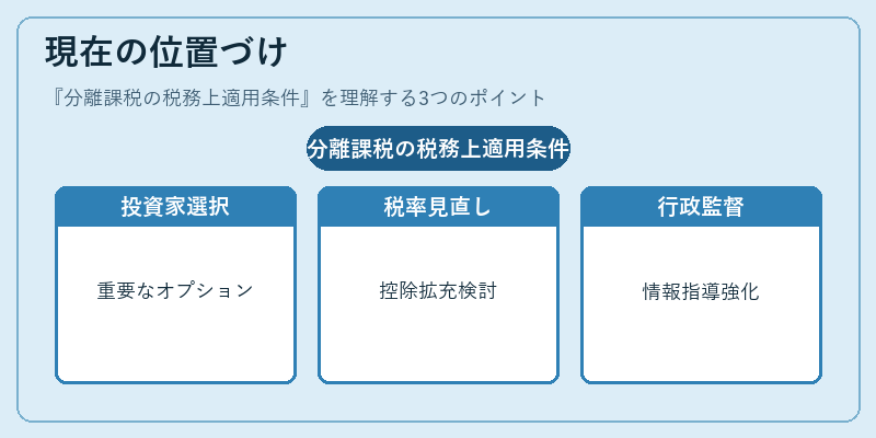 現在の位置づけ（分離課税の税務上適用条件）の図解