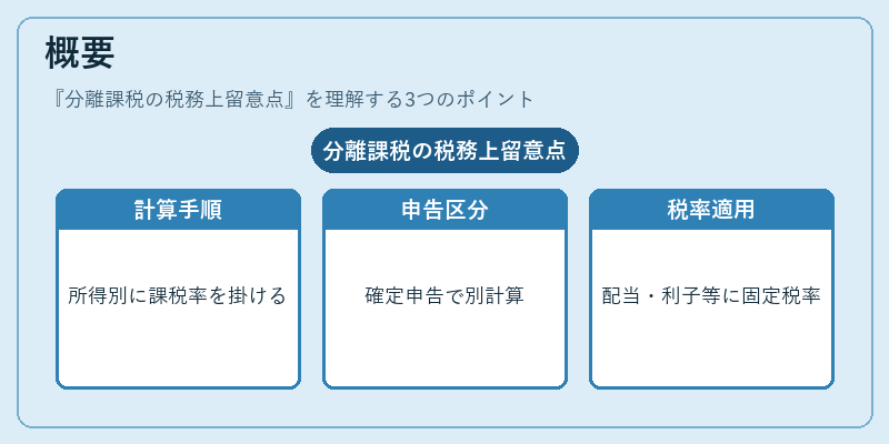概要（分離課税の税務上留意点）の図解