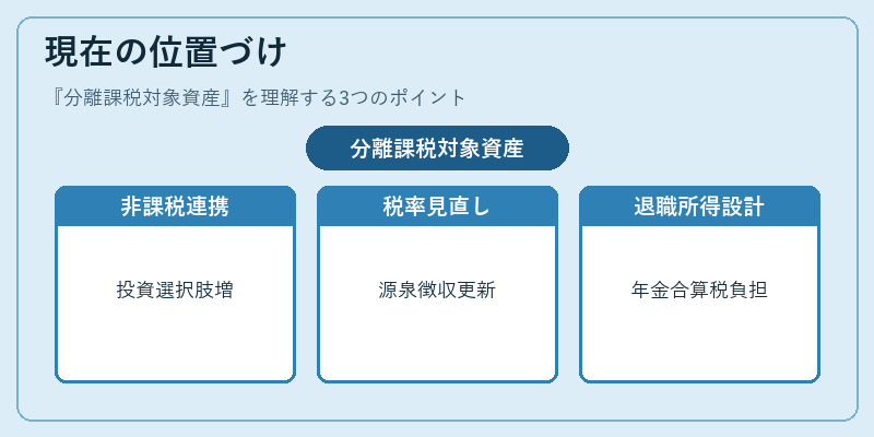 現在の位置づけ(分離課税対象資産)の図解