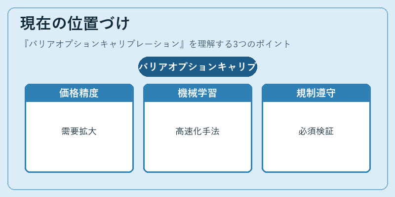 現在の位置づけ（バリアオプションキャリブレーション）の図解