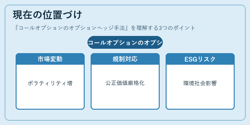 現在の位置づけ(コールオプションのオプションヘッジ手法)の図解
