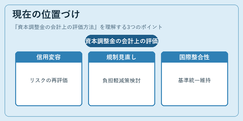 現在の位置づけ(資本調整金の会計上の評価方法)の図解