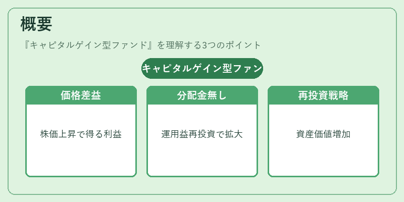 概要（キャピタルゲイン型ファンド）の図解