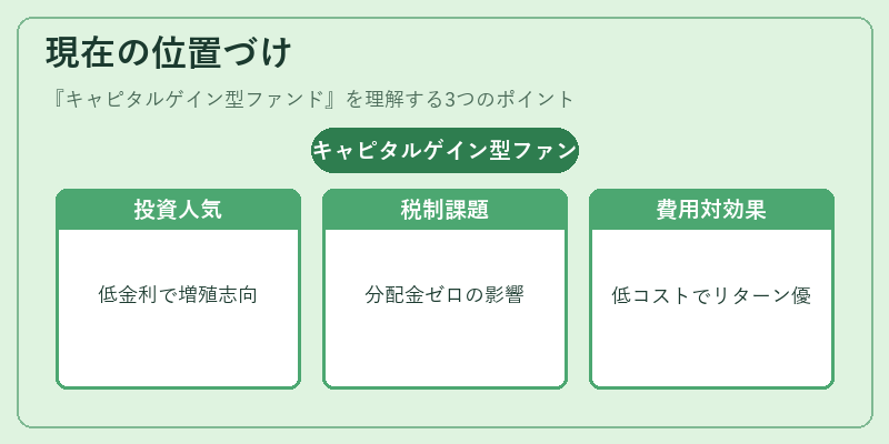 現在の位置づけ（キャピタルゲイン型ファンド）の図解