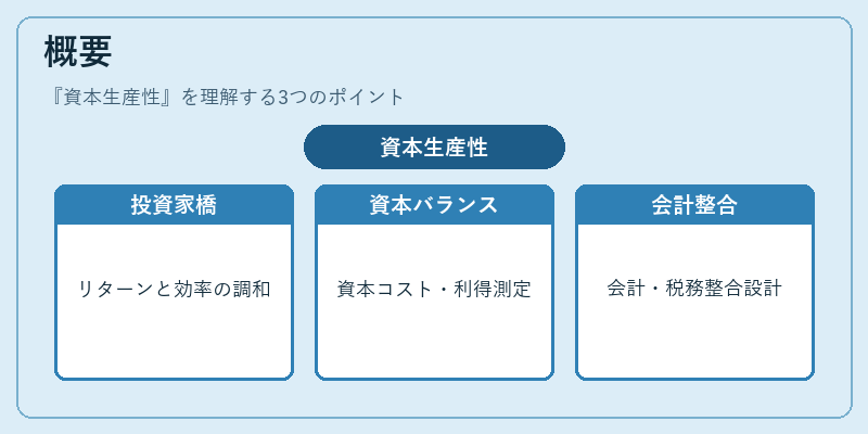 概要(資本生産性)の図解