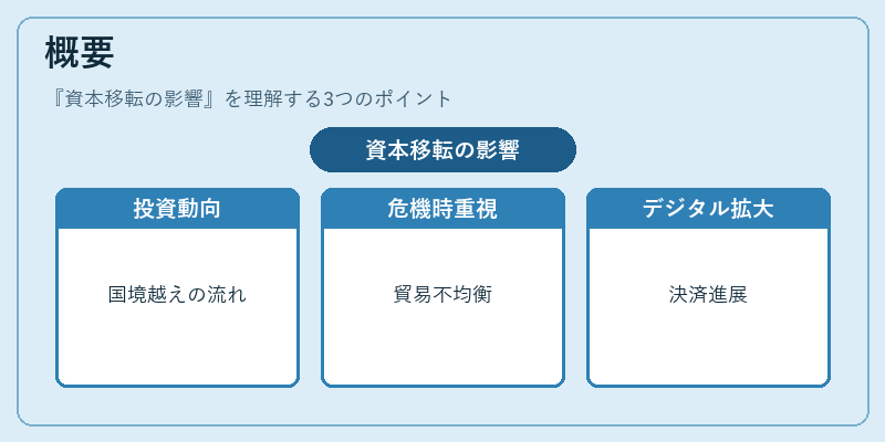 概要（資本移転の影響）の図解