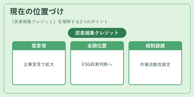 現在の位置づけ(炭素捕集クレジット)の図解