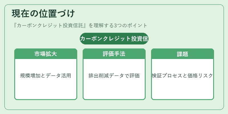 現在の位置づけ(カーボンクレジット投資信託)の図解