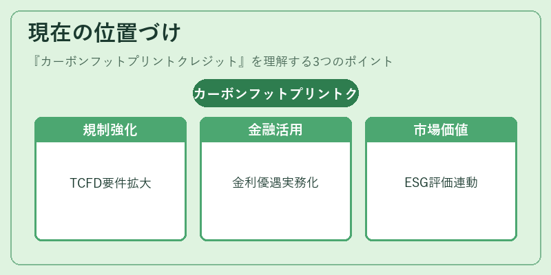 現在の位置づけ（カーボンフットプリントクレジット）の図解