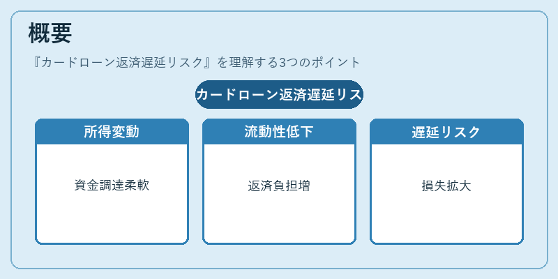 概要（カードローン返済遅延リスク）の図解