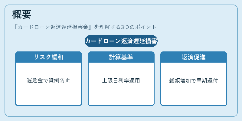 概要（カードローン返済遅延損害金）の図解