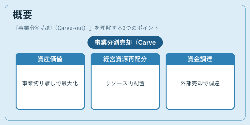 概要(事業分割売却(Carve-out))の図解