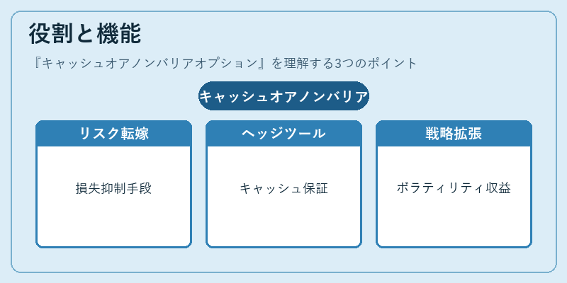 役割と機能（キャッシュオアノンバリアオプション）の図解