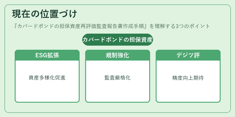現在の位置づけ（カバードボンドの担保資産再評価監査報告書作成手順）の図解