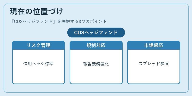 現在の位置づけ(CDSヘッジファンド)の図解