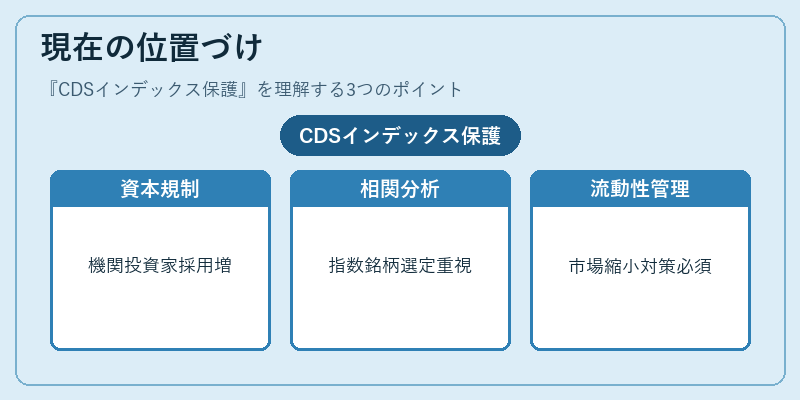 現在の位置づけ（CDSインデックス保護）の図解