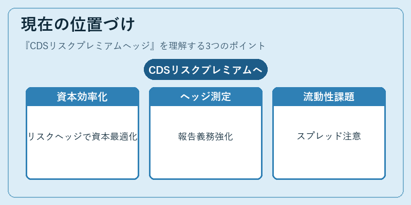 現在の位置づけ（CDSリスクプレミアムヘッジ）の図解