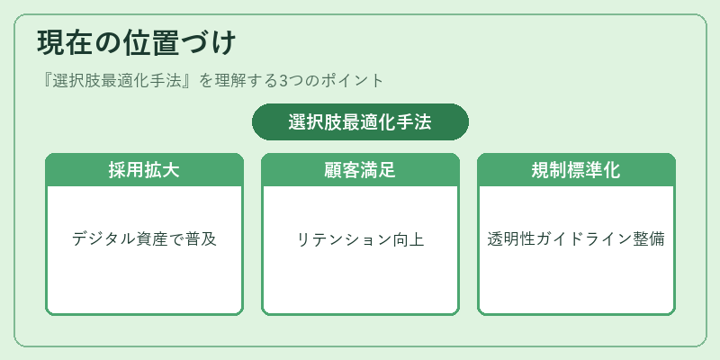 現在の位置づけ（選択肢最適化手法）の図解
