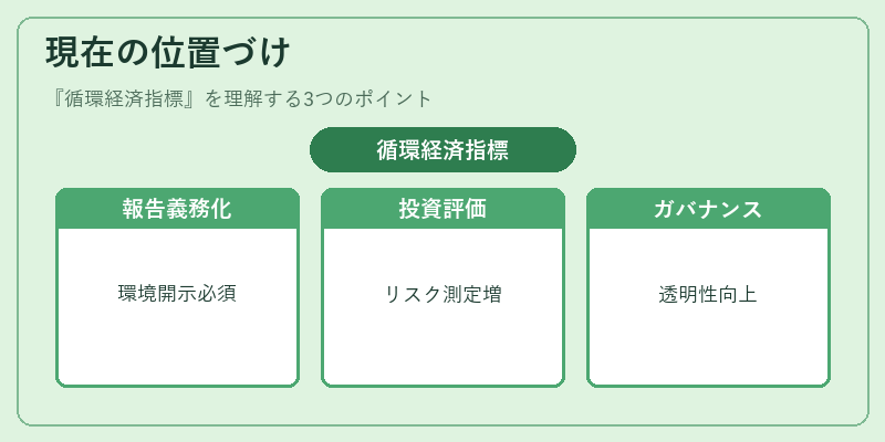 現在の位置づけ（循環経済指標）の図解