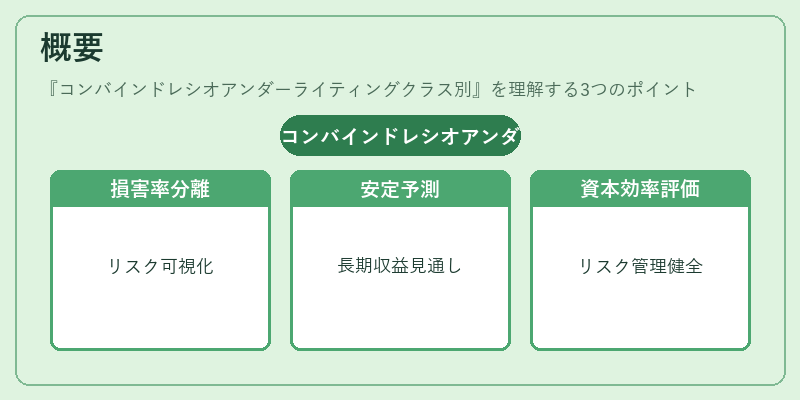 概要（コンバインドレシオアンダーライティングクラス別）の図解