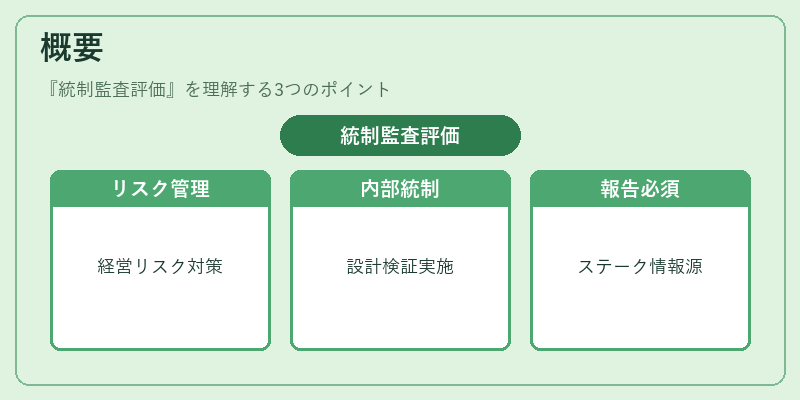 概要（統制監査評価）の図解