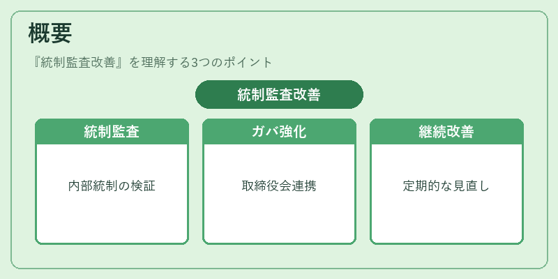 概要（統制監査改善）の図解