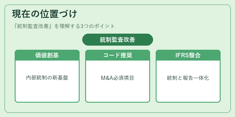 現在の位置づけ（統制監査改善）の図解