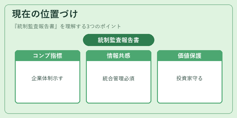 現在の位置づけ（統制監査報告書）の図解