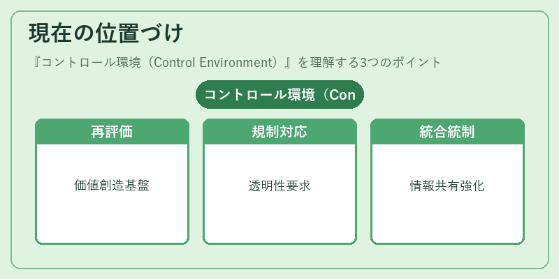 現在の位置づけ(コントロール環境(Control Environment))の図解