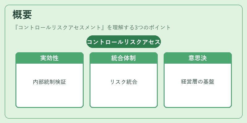 概要(コントロールリスクアセスメント)の図解