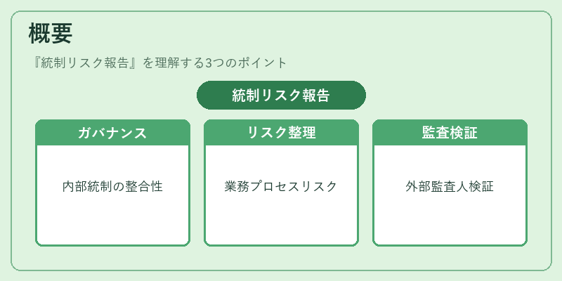 概要（統制リスク報告）の図解