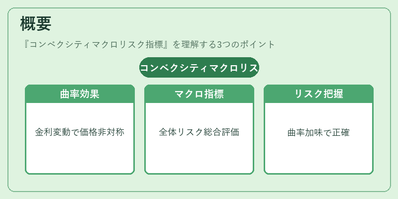 概要（コンベクシティマクロリスク指標）の図解