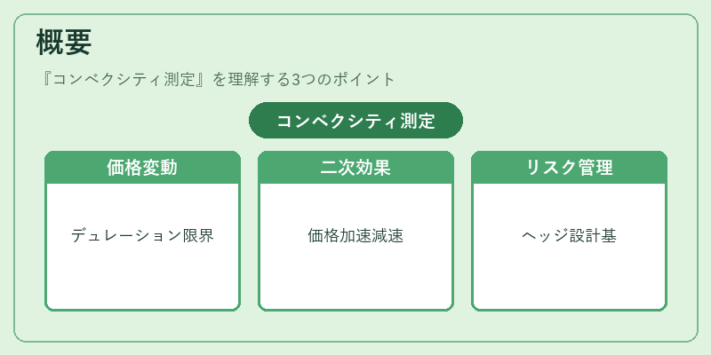 概要（コンベクシティ測定）の図解